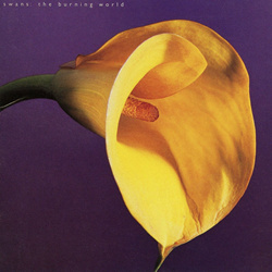 Swans - The Burning World (Reissue) (2024)