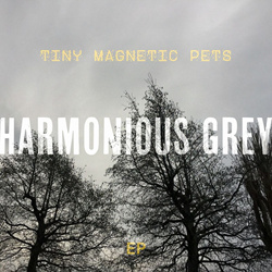 Tiny Magnetic Pets - Harmonious Grey (EP) (2025)